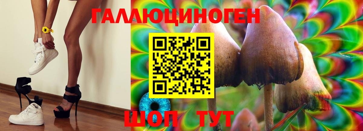 Псилоцибиновые грибы Psilocybe  Вход с VPN  Тимашёвск 